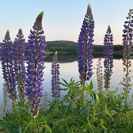 Hentzschel Tatil Evi *