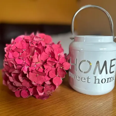 Hentzschel Altenberg (Erzgebirge)